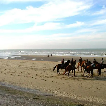 Daire Flat In By Marina And