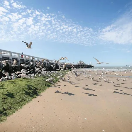 Flat In By Marina And *