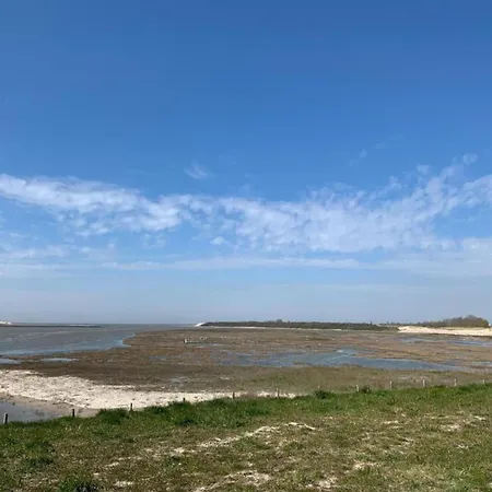 Flat In By Marina And